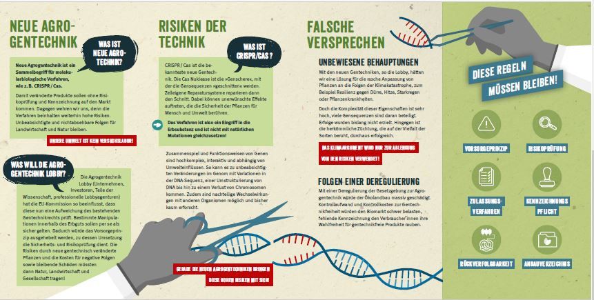 Flyer Bayern muss gentechnikfrei bleiben S.2