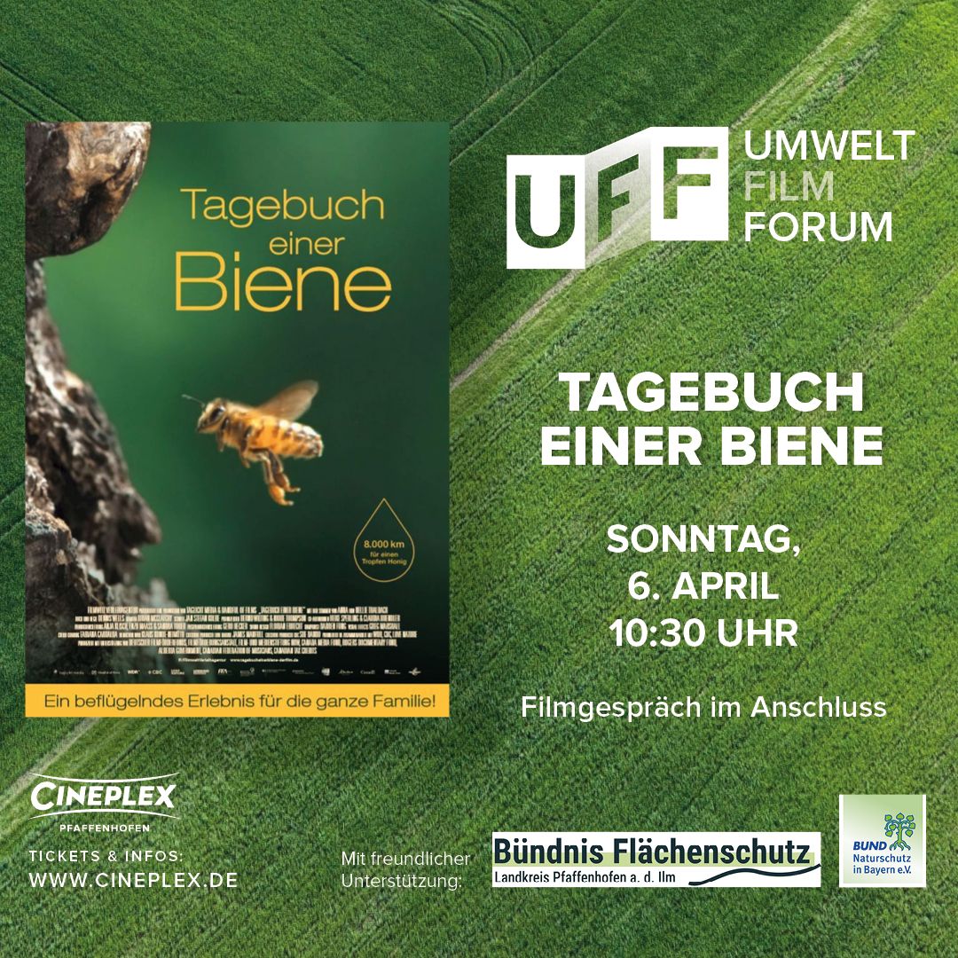 Tagebuch einer Biene Plakat